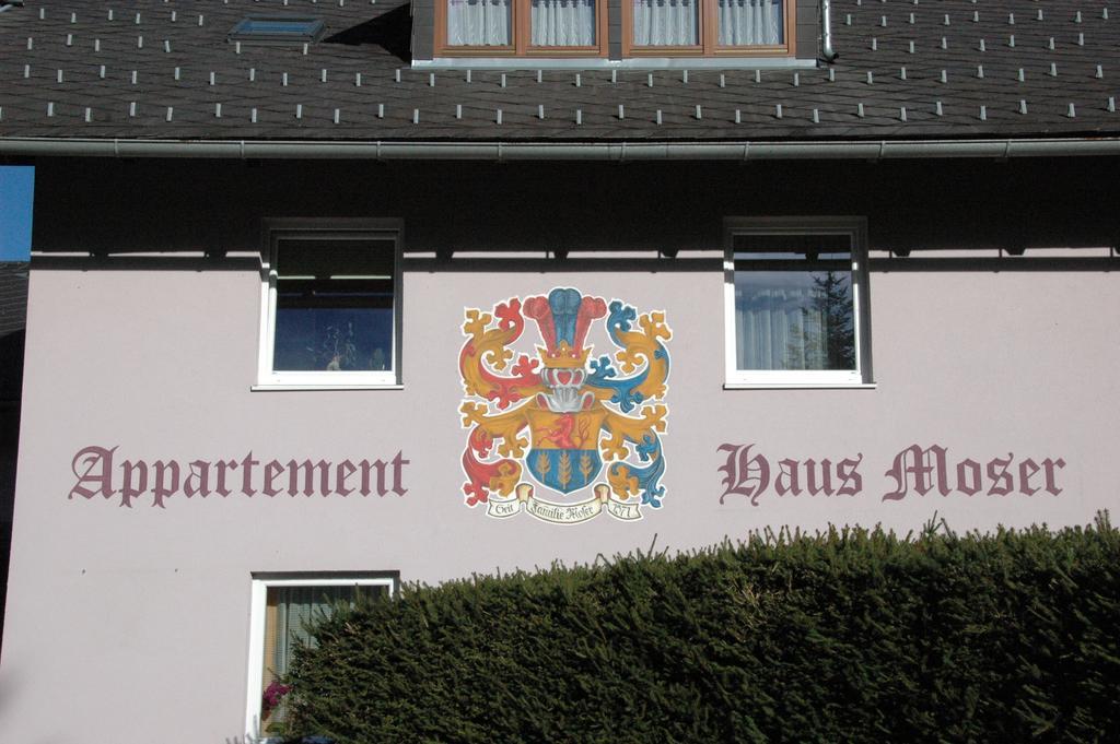 Appartement Haus Moser Sankt Michael im Lungau Dış mekan fotoğraf